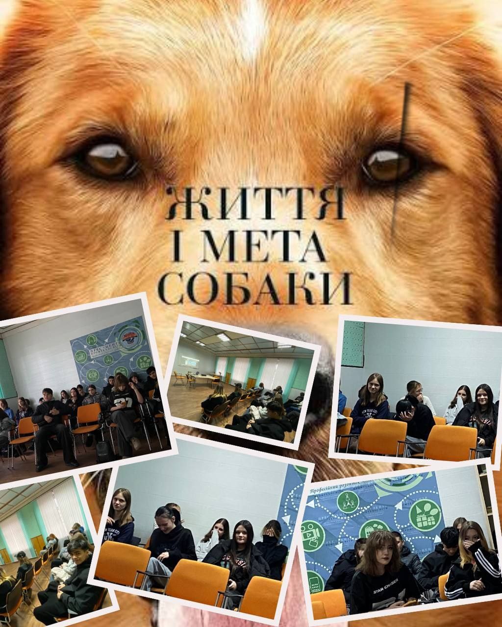 Допомагаємо тваринам та виховуємо гуманне ставлення до них